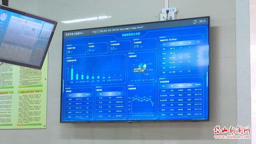 我縣又新增一家五化市場(chǎng)信息系統(tǒng)集成服務(wù)